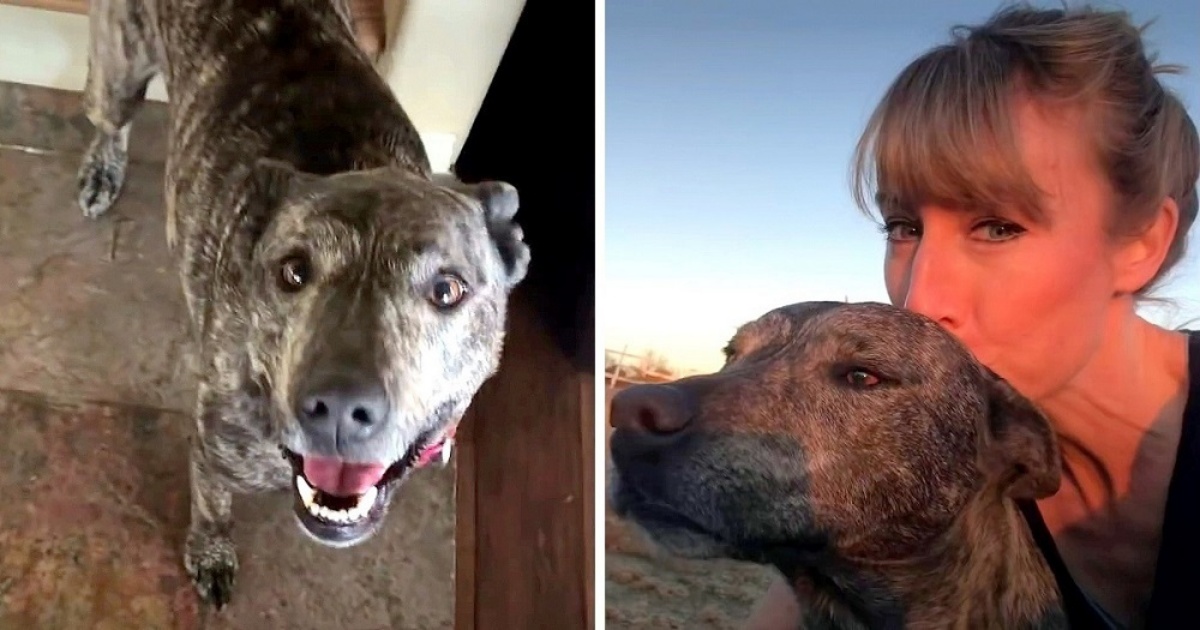 Laurette e la sua amicizia con la cucciola Georgia