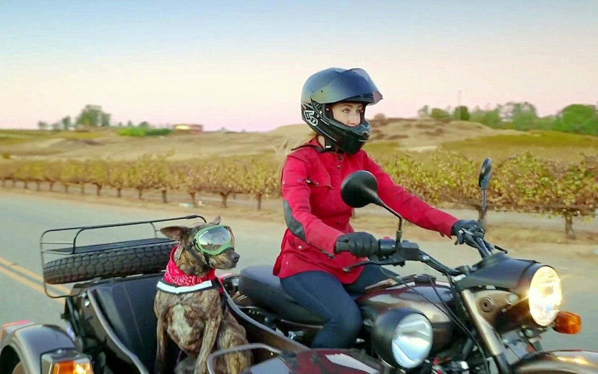 Laurette e la sua amicizia con la cucciola Georgia