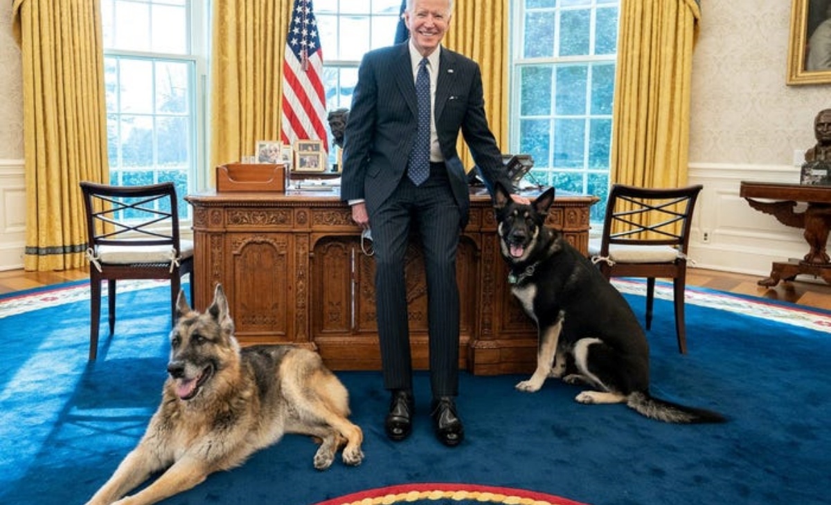 Allontanati dalla Casa Bianca i cani di Joe Biden 