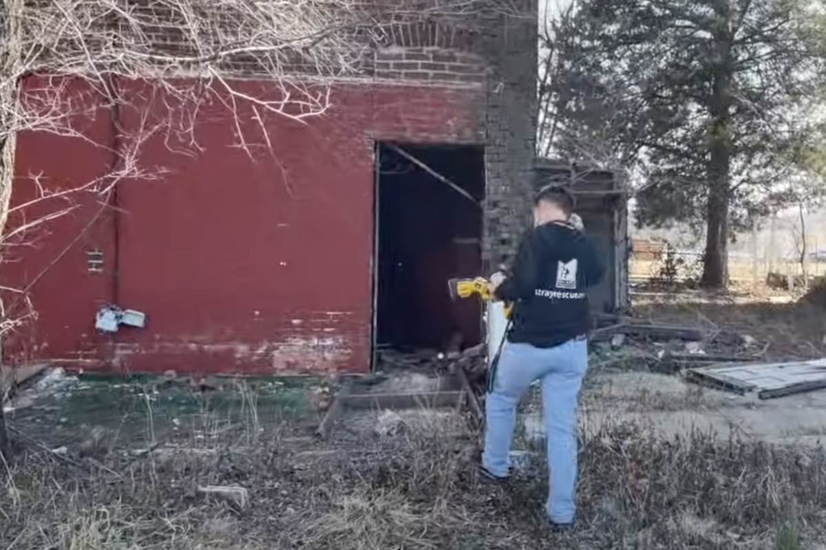 “Stavamo per andarcene! In quella casa non c’era nessun cane, poi…”