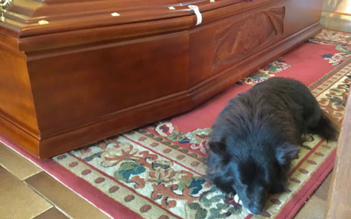 La storia del cane Mario