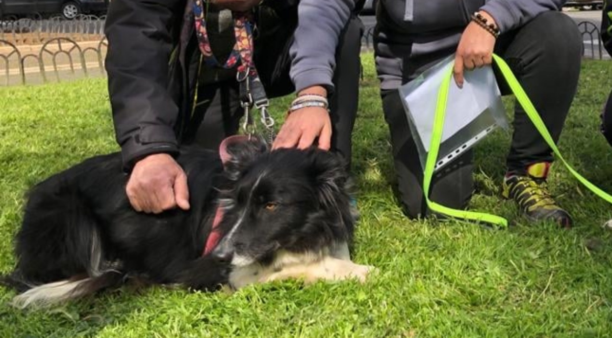 Max ha trovato una famiglia