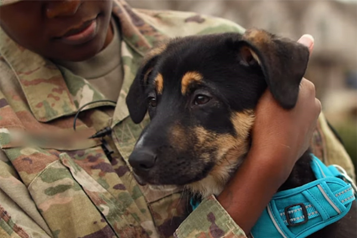 La storia di Char e PupPup