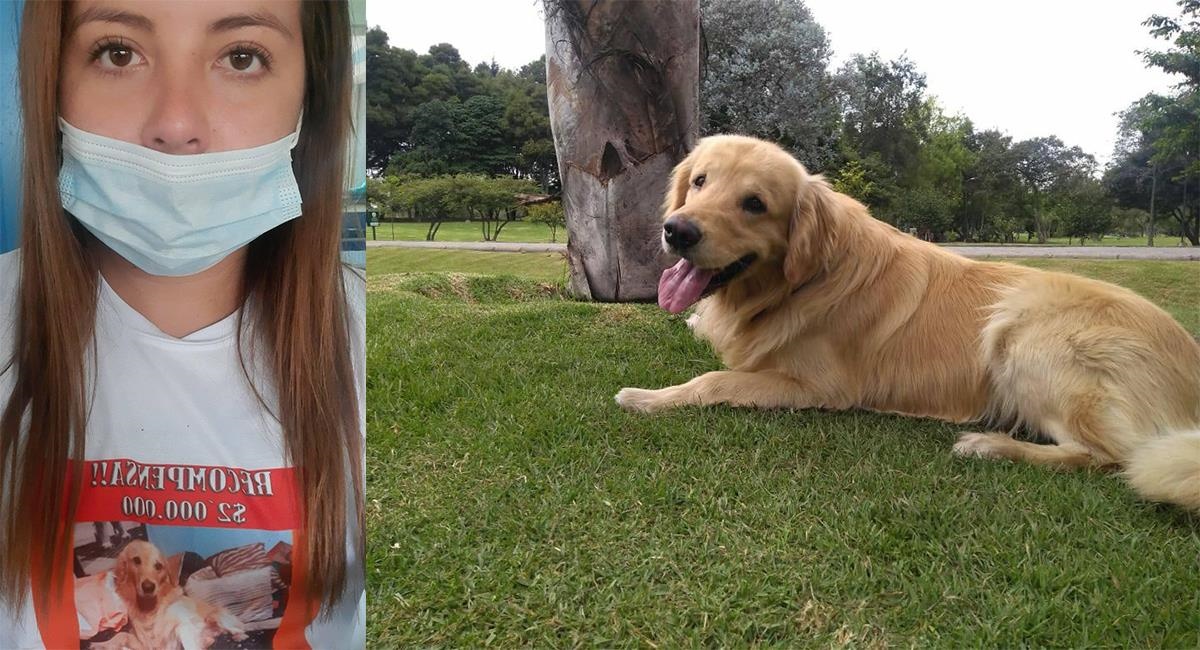 La storia del cane Saimon