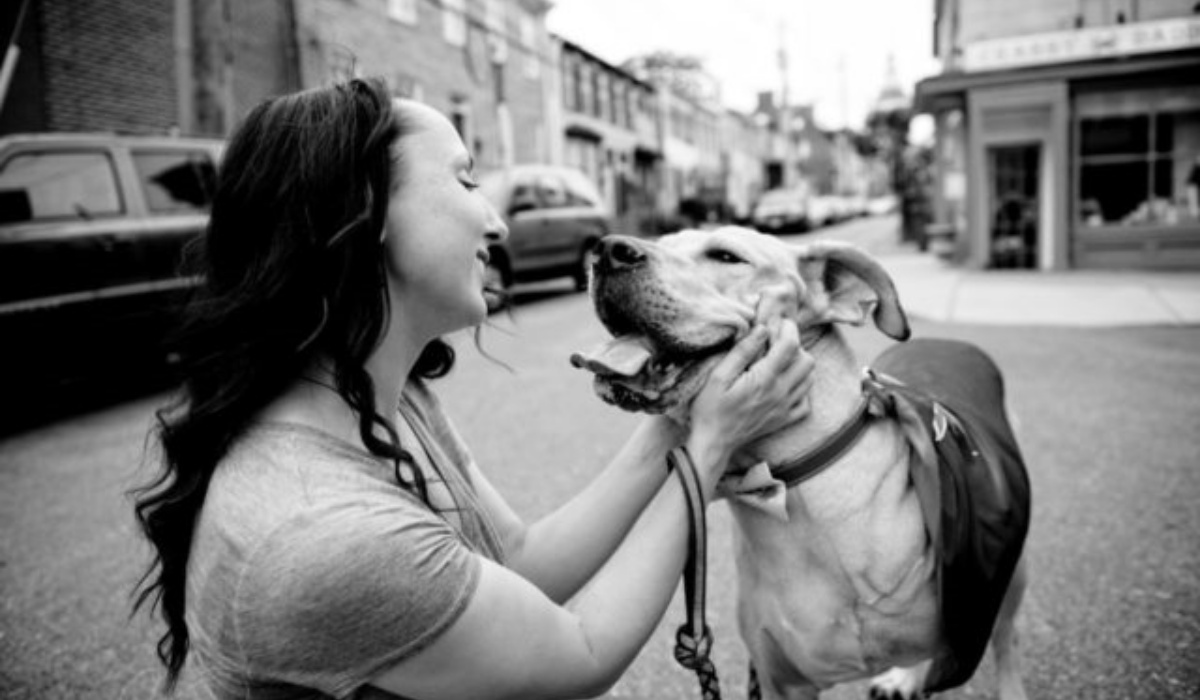 La storia del cane Zeus