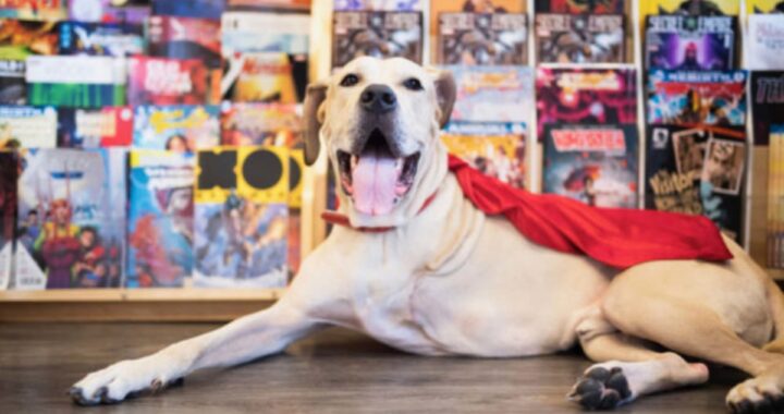 La storia del cane Zeus