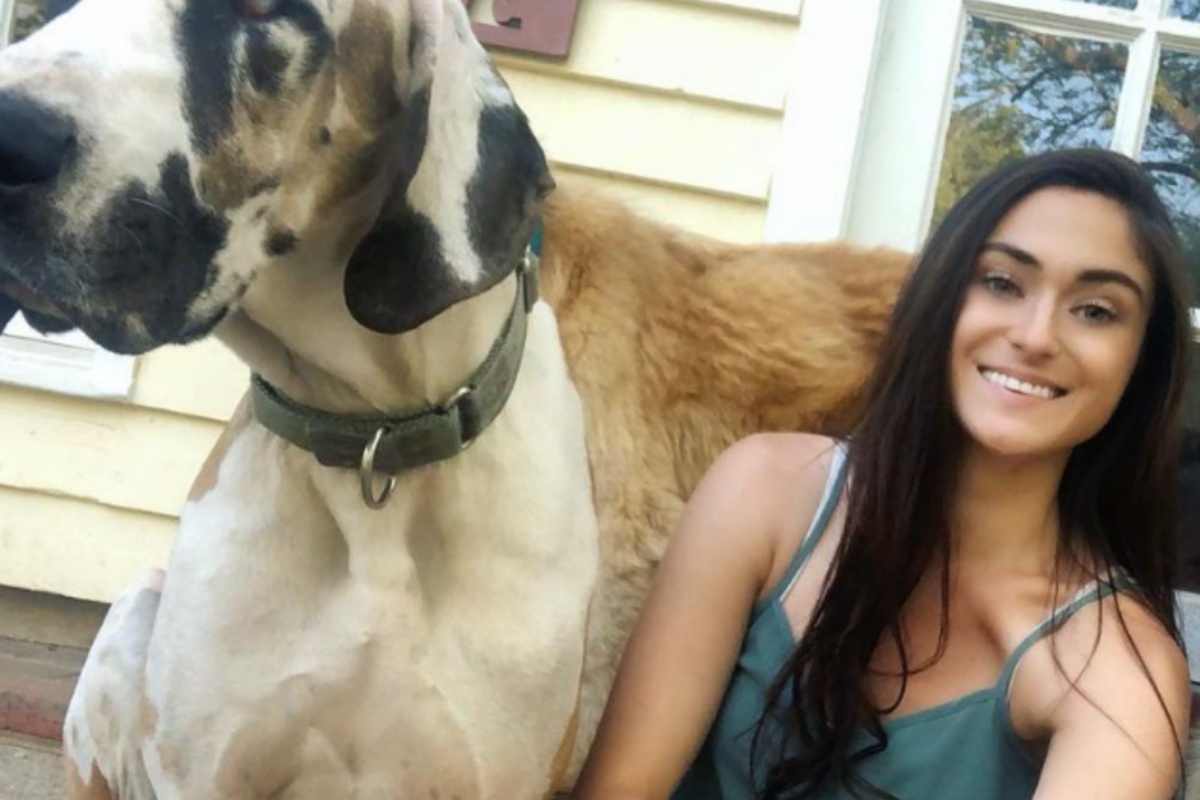 La missione di Adri Rachelle per gli animali bisognosi