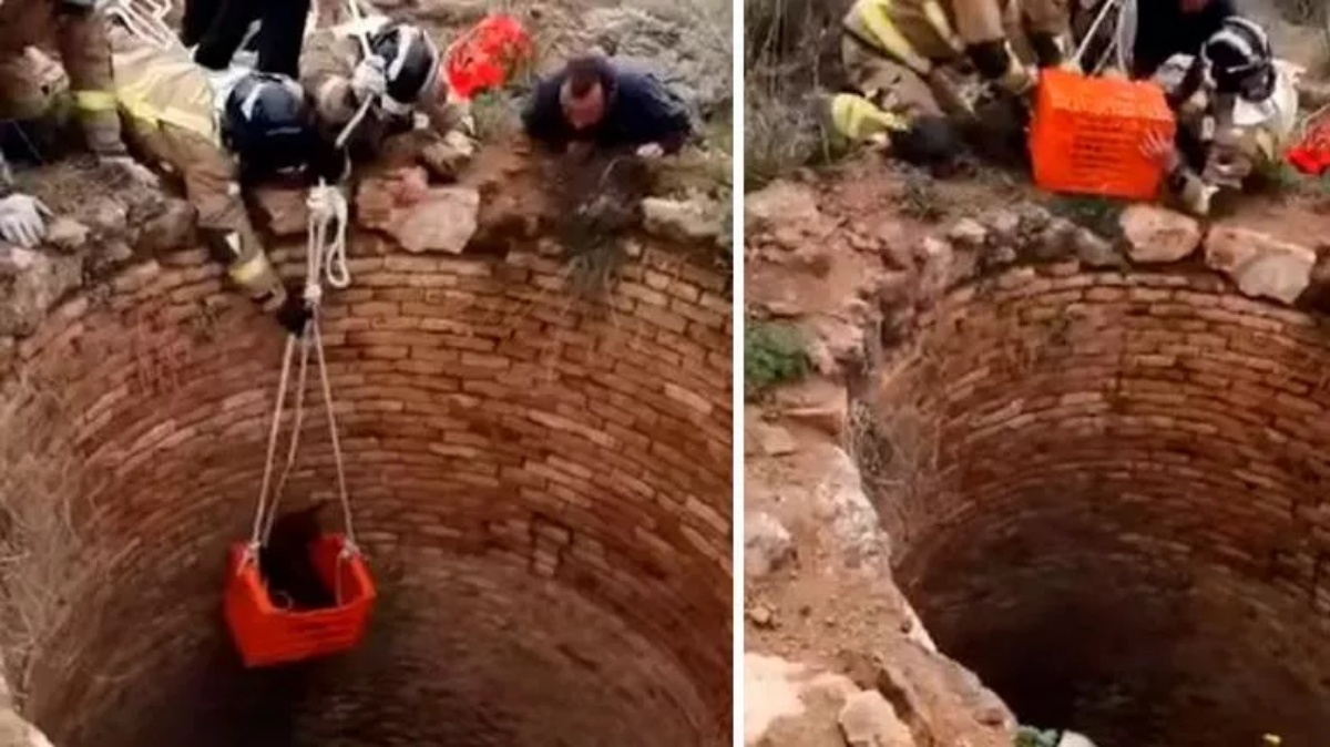 Cane caduto in un pozzo