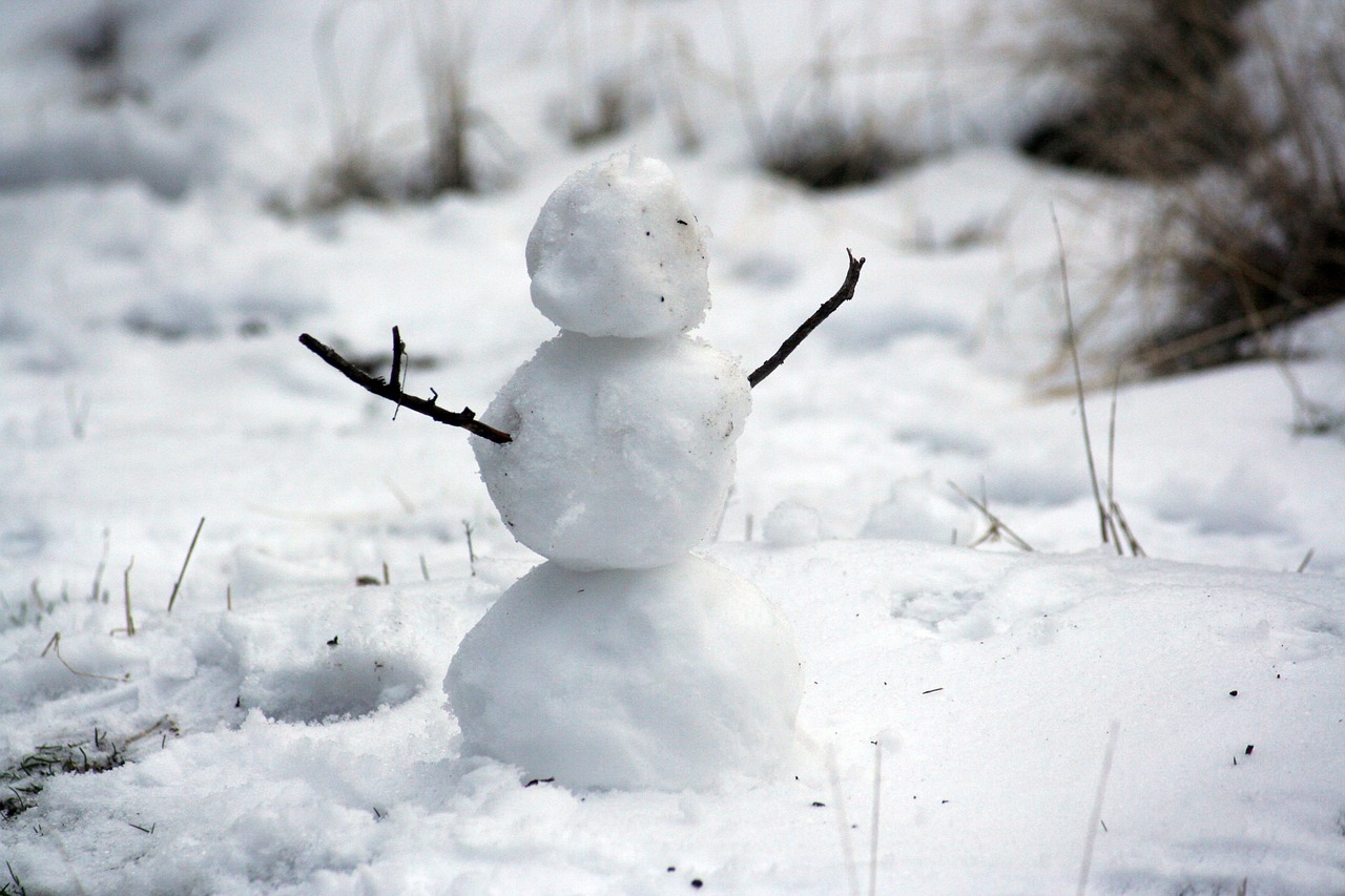 Cane vuole un abbraccio dal pupazzo di neve