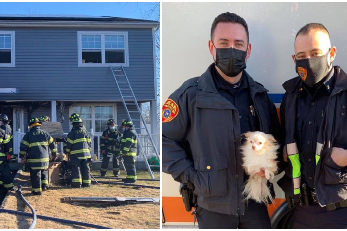 Agenti salvano la famiglia dall’incendio e alla fine scoprono che all’interno della casa c’erano ancora il cane ed il gatto