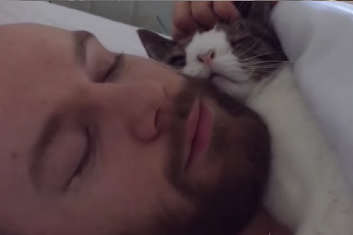 Uomo adotta Monty, il gatto affetto da una rara condizione: ecco cosa è accaduto poco dopo