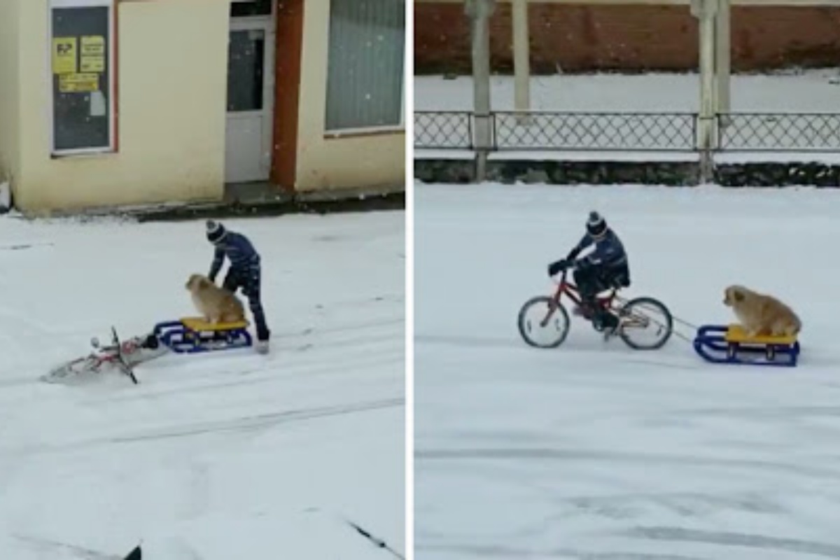La clip virale del piccolo Andrei con il suo cane Pufi: hanno ricevuto anche un regalo