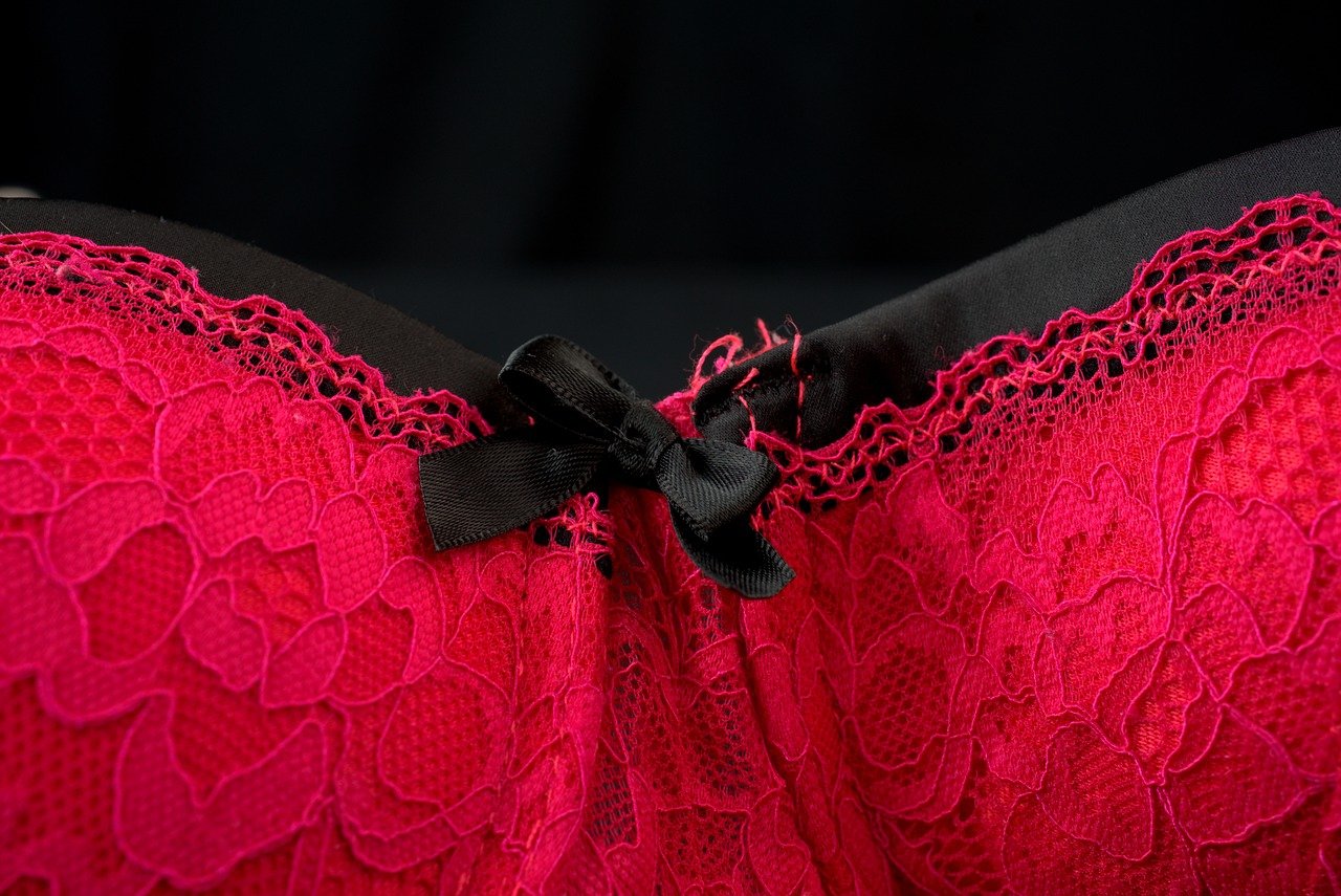 reggiseno