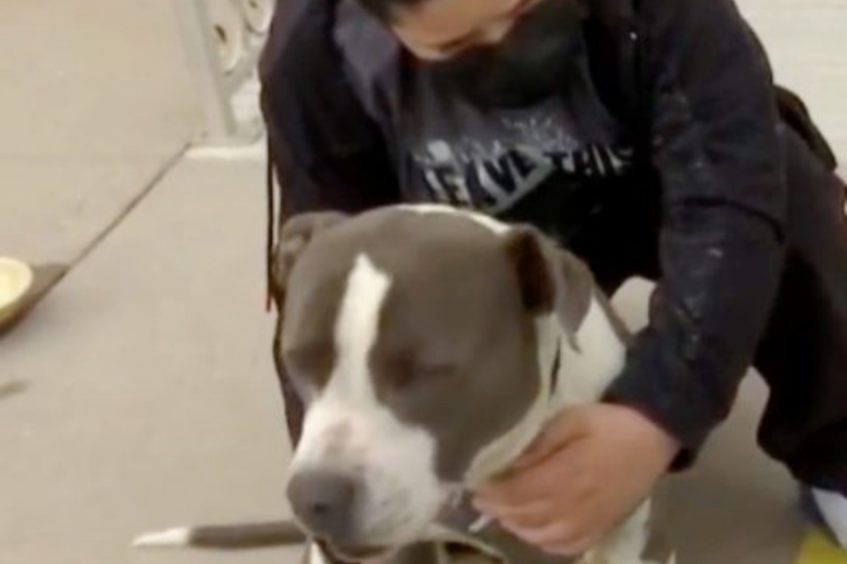 Astro, il cagnolino che ha salvato la vita del suo padroncino
