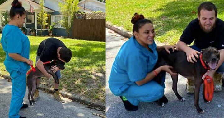 La riunione tra Dakota e il suo papà