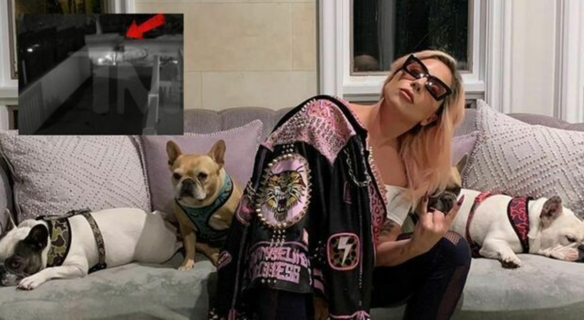 Arrestati i rapitori dei cani di Lady Gaga