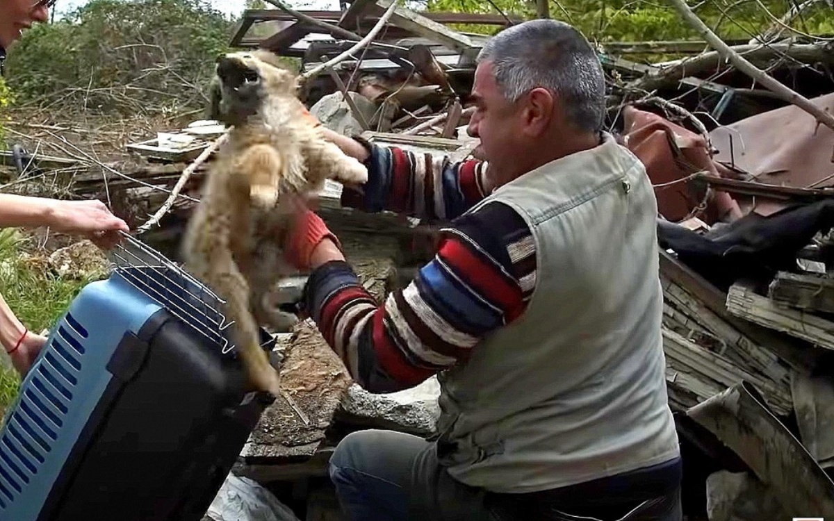 La storia del cagnolino Pashok