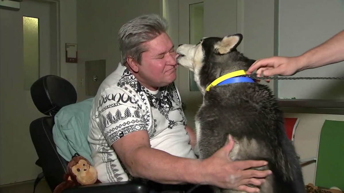 David Guindon e il cane Zeus