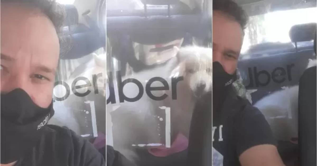 Autista Uber salva il cane che sta per essere soppresso