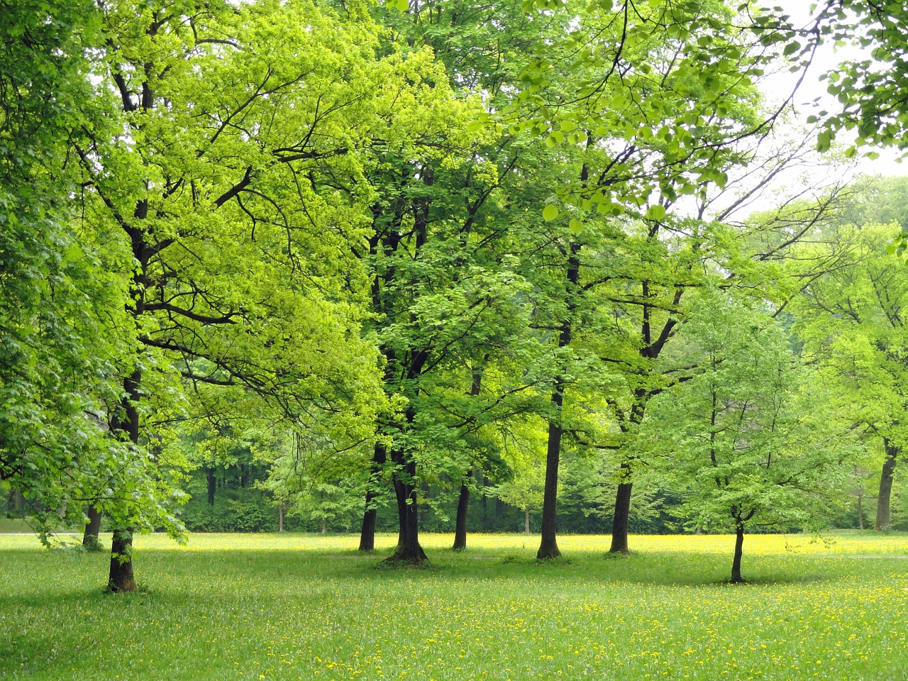 Giardino pubblico in città