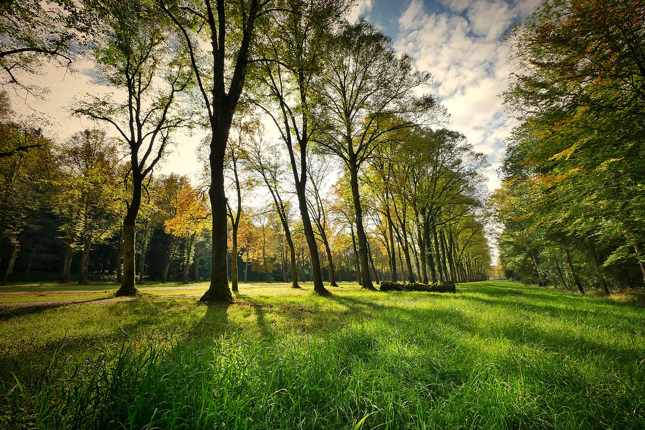 Parco del Valentino a Torino