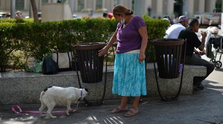 Irma Vasquez e Lucky