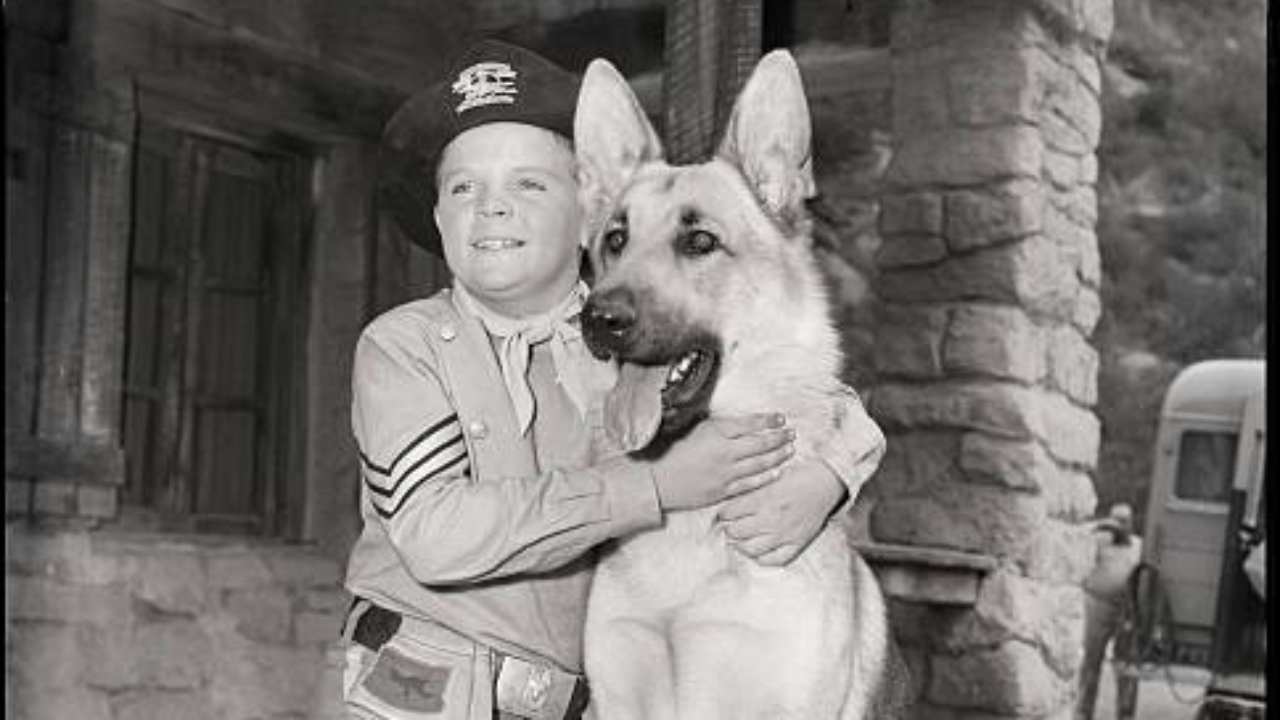 Lee Aaker, morto l’attore di Rin Tin Tin: era Rusty