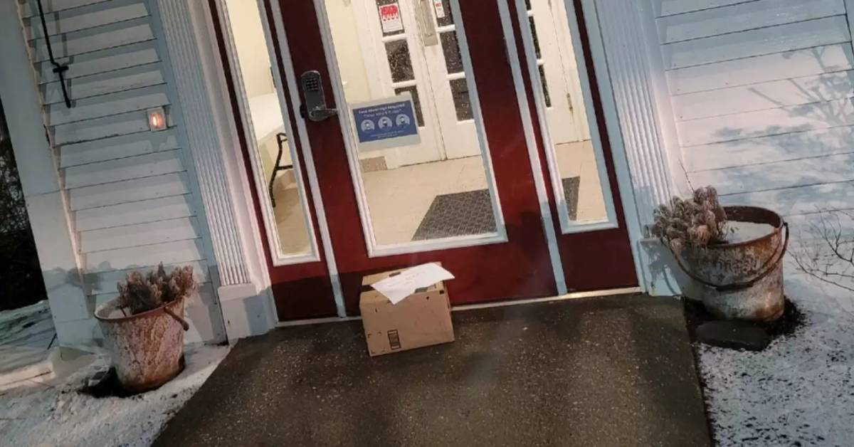 Scatola abbandonata davanti al veterinario con la scritta: “hanno bisogno di una casa (scusate)”