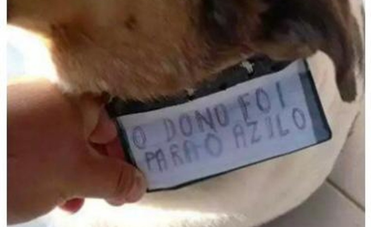 La storia del cane Betoven