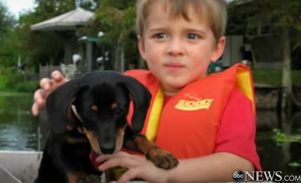 Il video della cagnolina Dutchess e del bambino