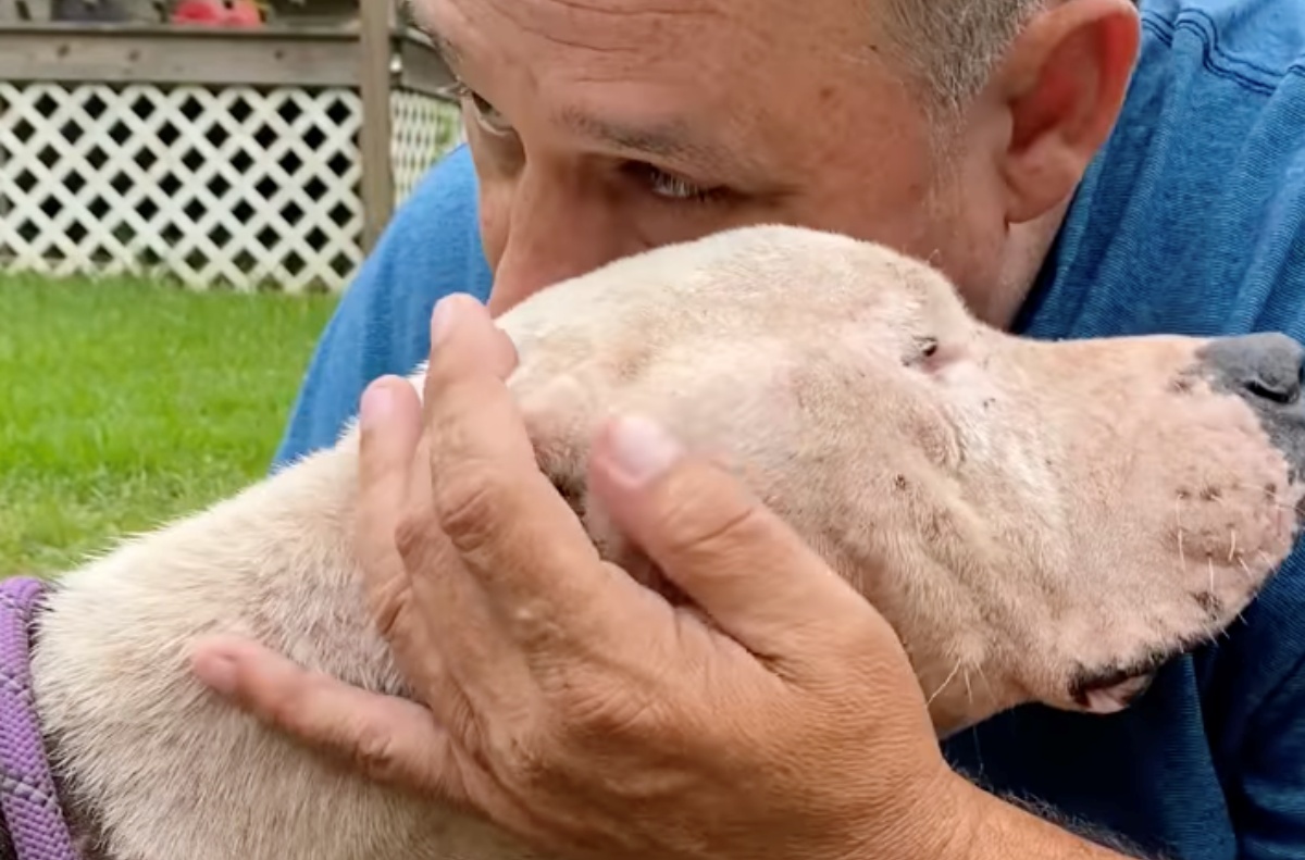 Halo, il cane cieco abbandonato nel bosco