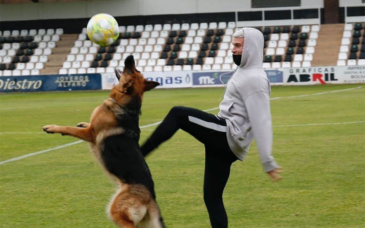 Jara, la cagnolina star del calcio