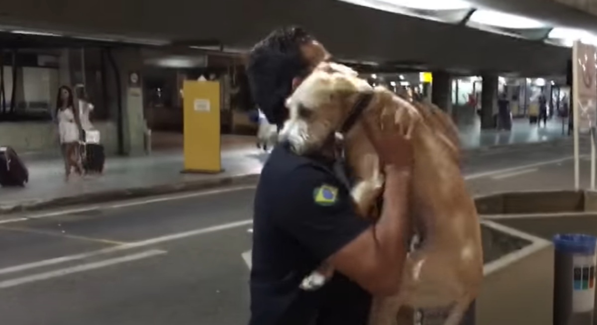 Il dolcissimo video di un cagnolino