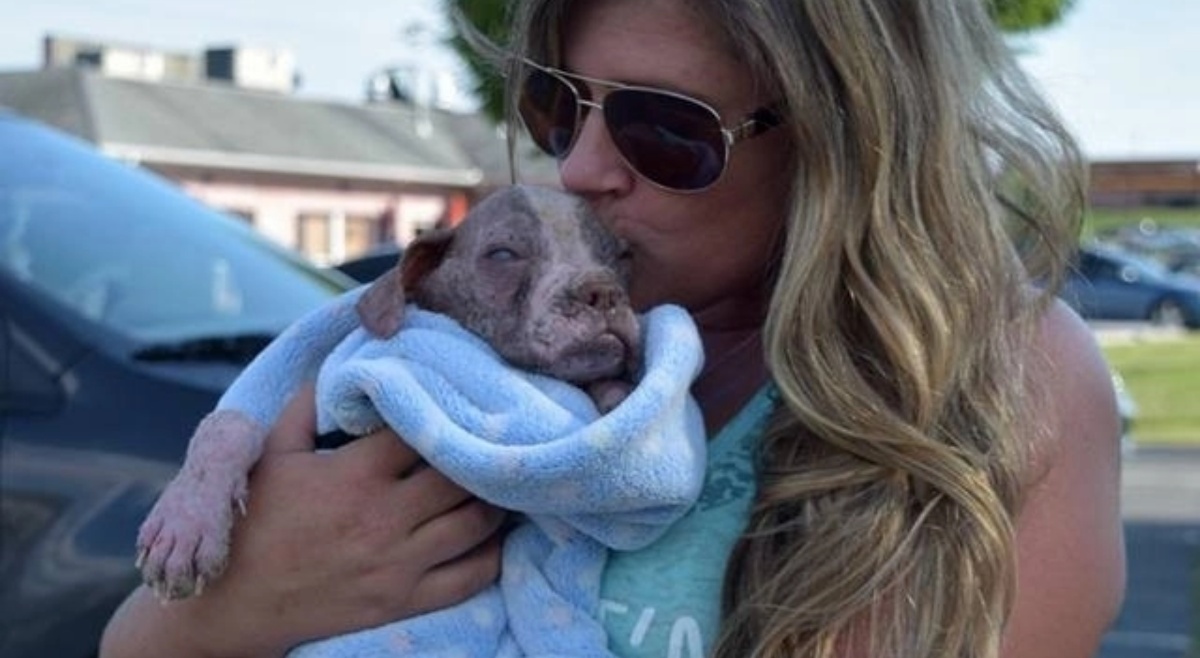 Il salvataggio del cagnolino Libbre 