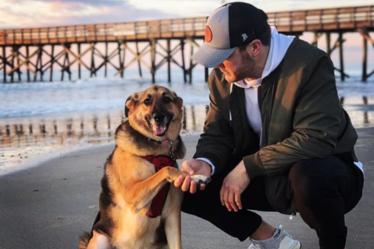 Il post di Austin sulla sua cagnolina Stella, raggiunge un numero incredibile di condivisioni