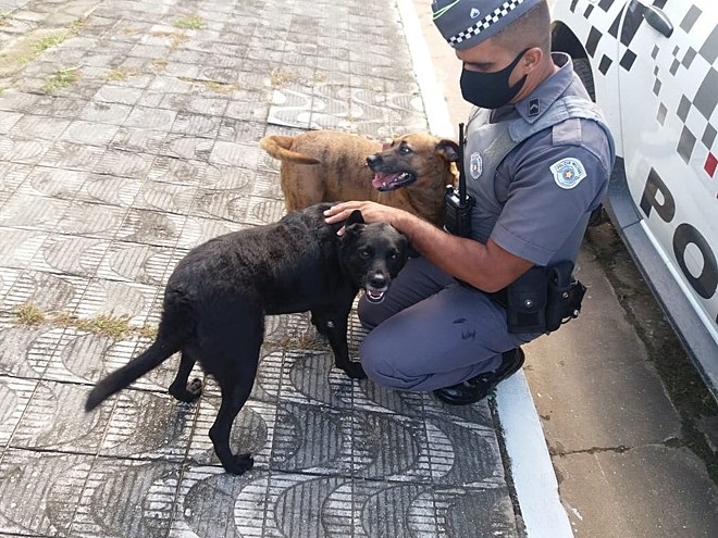 Polizia interviene