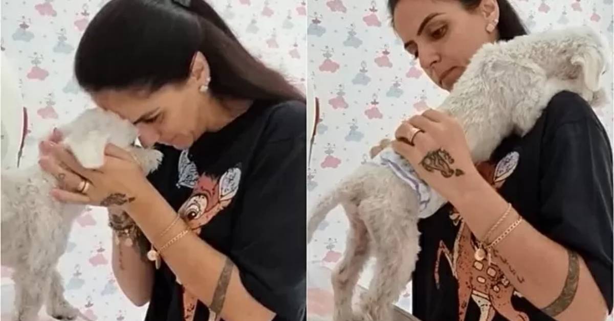 Lo trova in condizioni terribili e lo salva: il gesto del cucciolo quando capisce di essere al sicuro (video)