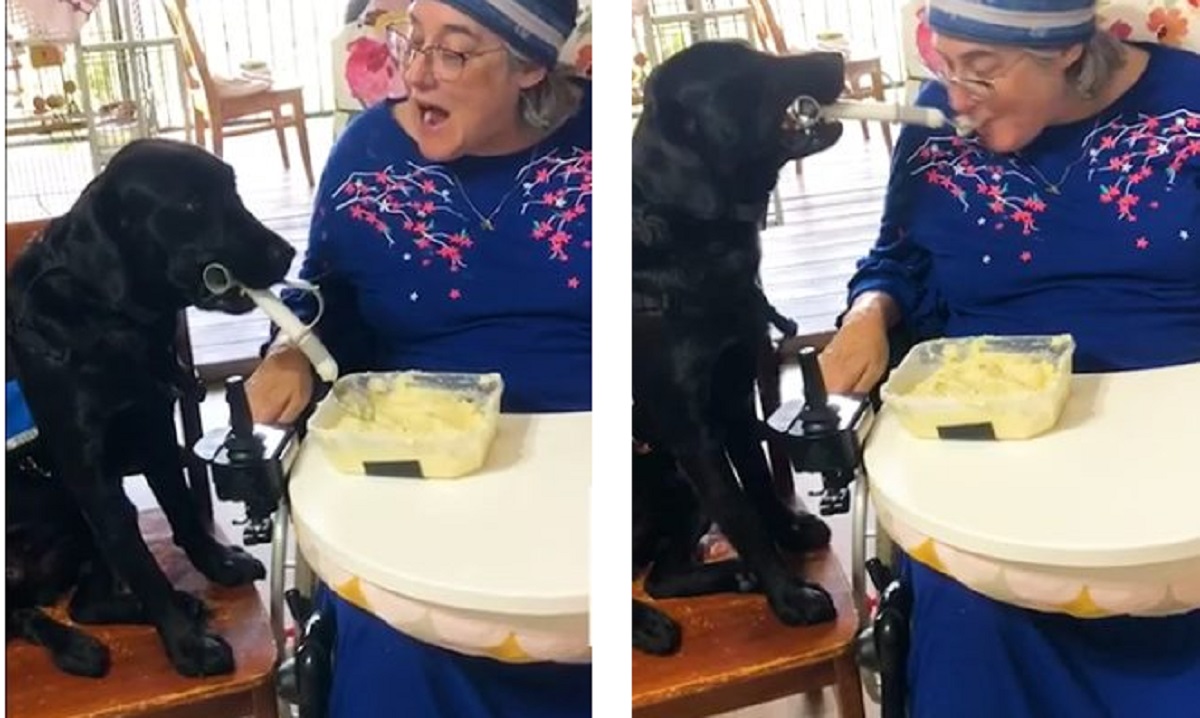 Cane aiuta la proprietaria a mangiare dopo che ha perso la mobilità delle braccia
