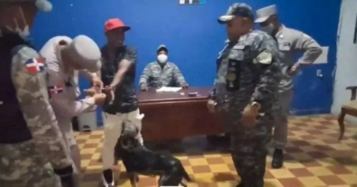 Cane alla stazione di polizia: rivuole indietro il suo amico umano