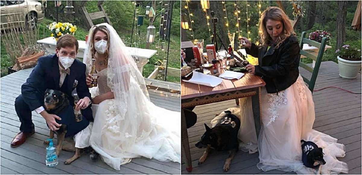 Cuccioli damigelle d’onore al matrimonio dei giovani sposi