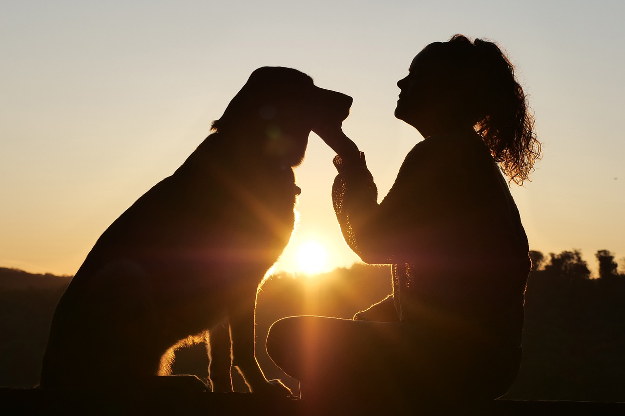 Cucciolo abbandonato salvato in vacanza