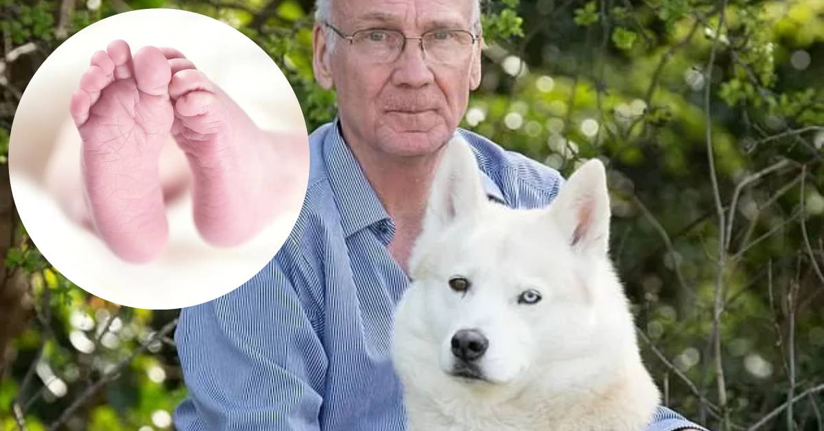 Dog sitter trova un neonato abbandonato nel parco grazie al fiuto del cane