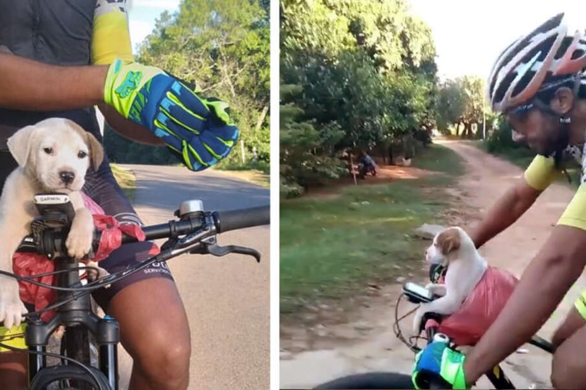 I due ciclisti salvano Lorenzo, il cane abbandonato. Alla fine decidono di adottarlo per sempre