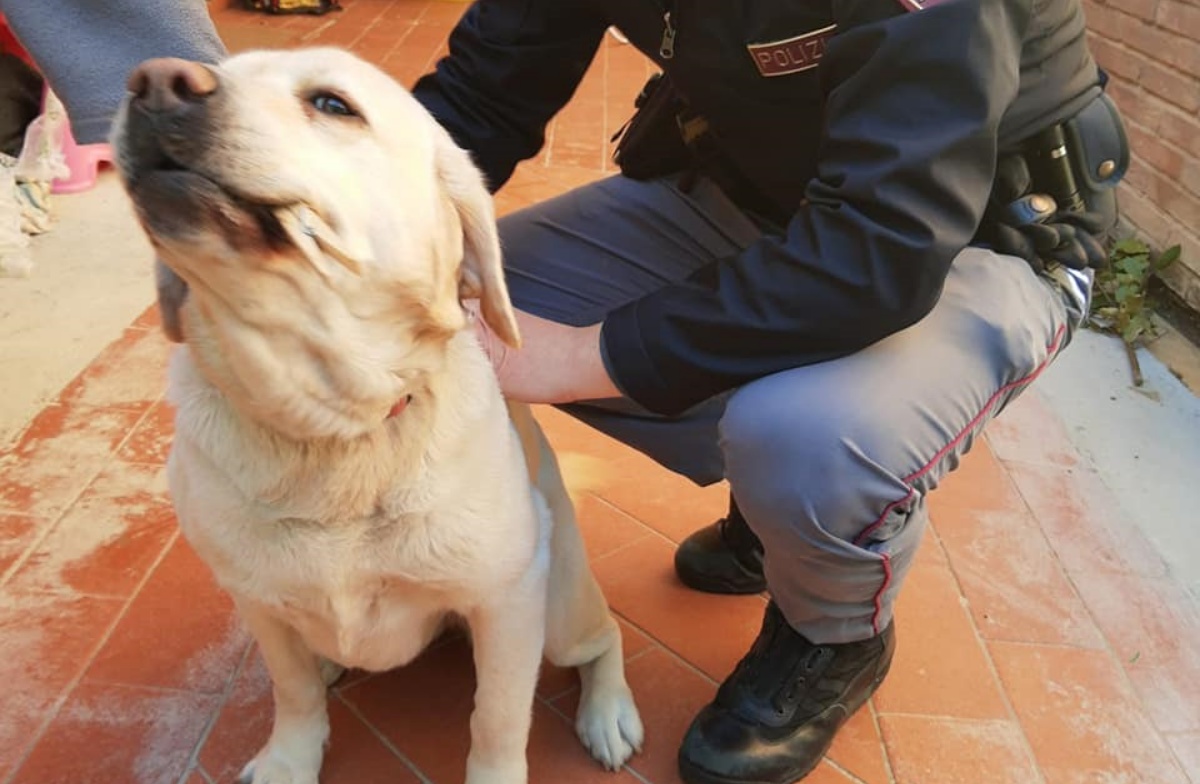 La cagnolina Mary 