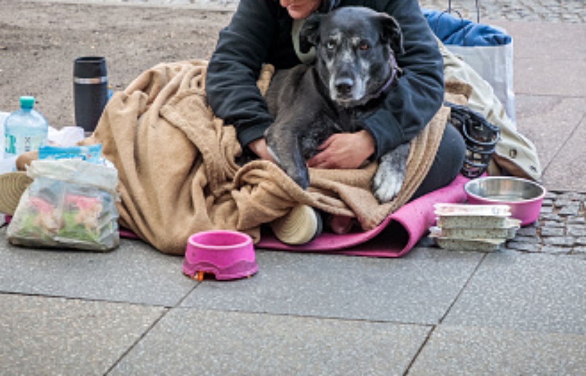 Donna aggredita dal cane di un senzatetto