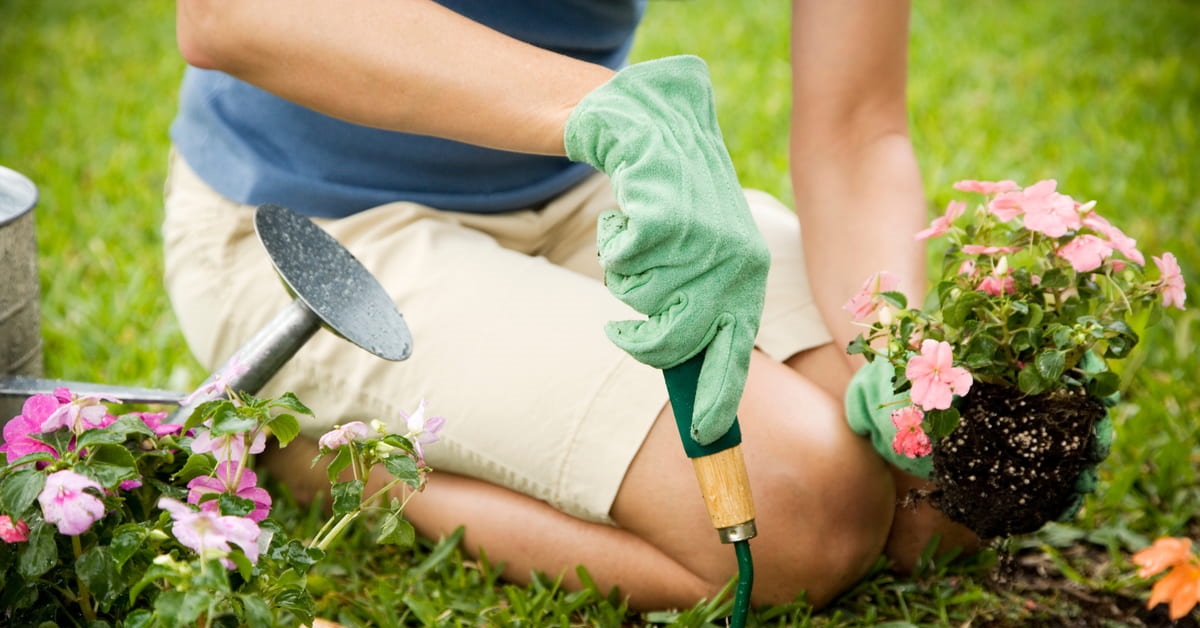 I 7 attrezzi migliori che gli amanti del giardinaggio devono assolutamente avere