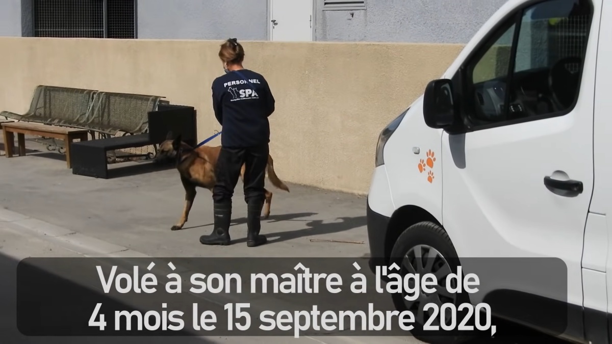 Il video di Bandit