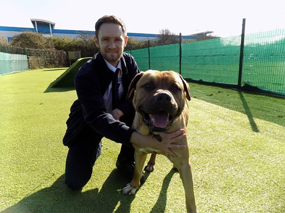 La storia del cane Benny