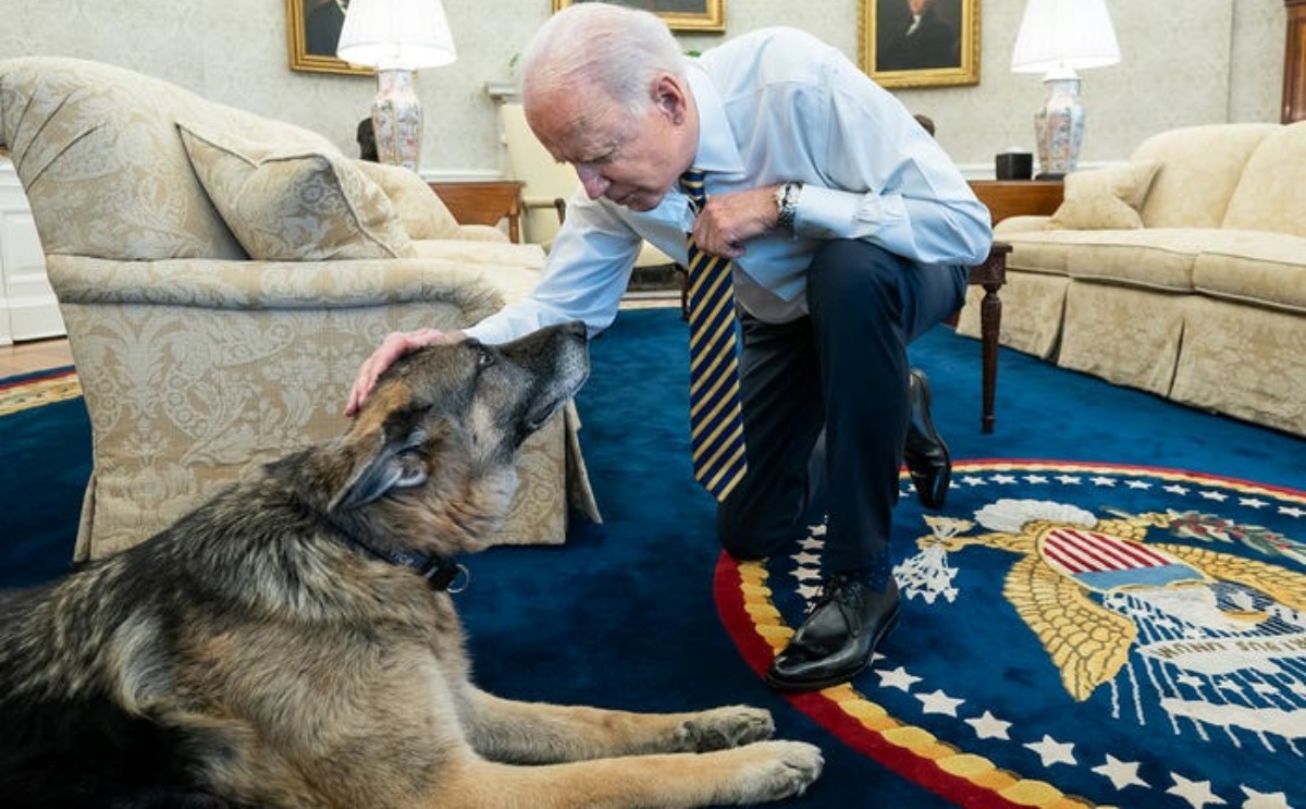 È morto Champ, il cane di Joe Biden 
