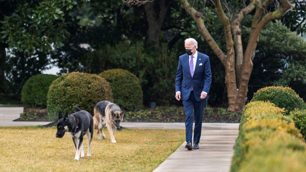 È morto Champ, il cane di Joe Biden